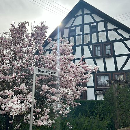 Das Pautzen Haus Daun Kültér fotó