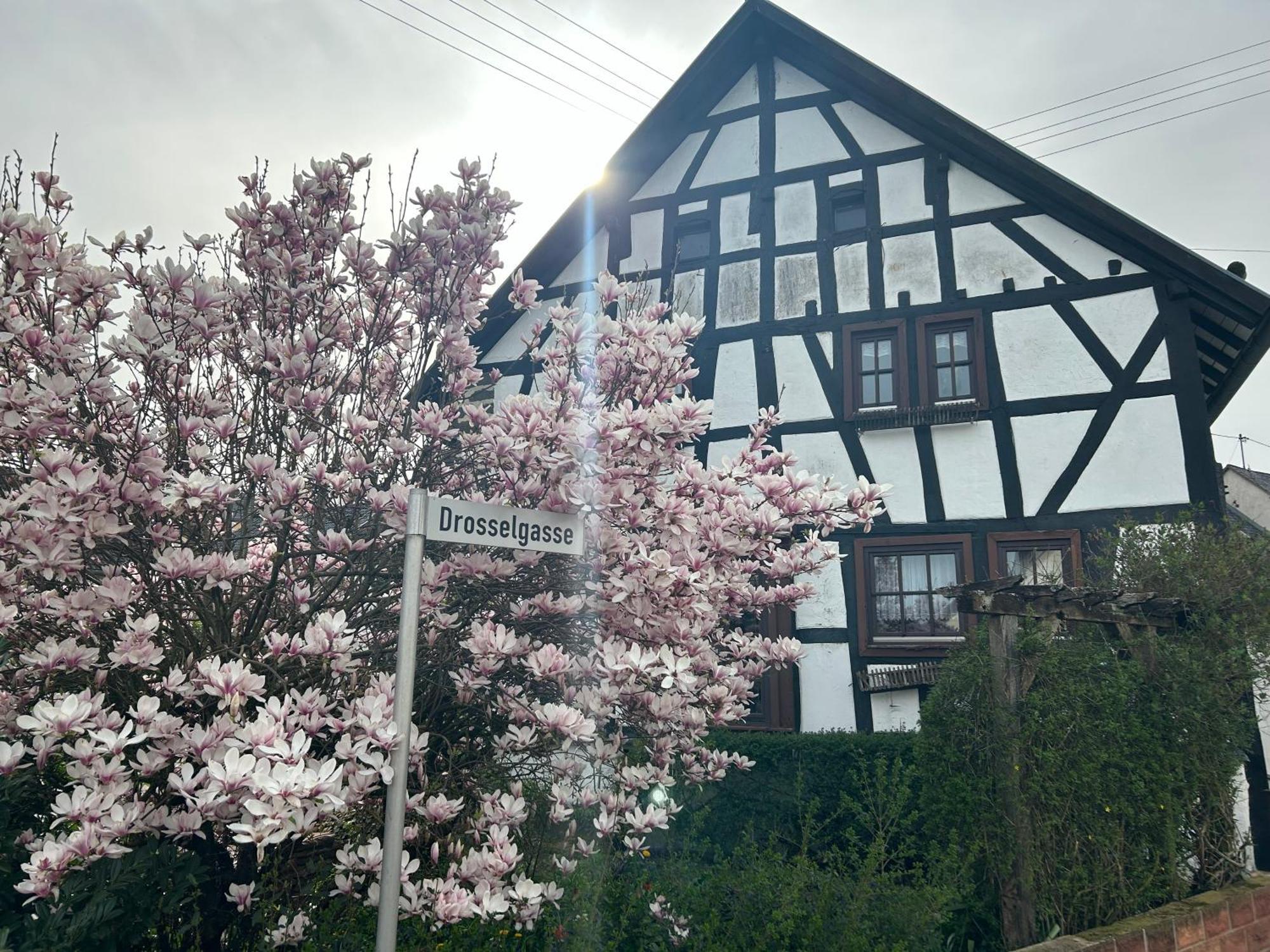 Das Pautzen Haus Daun Kültér fotó
